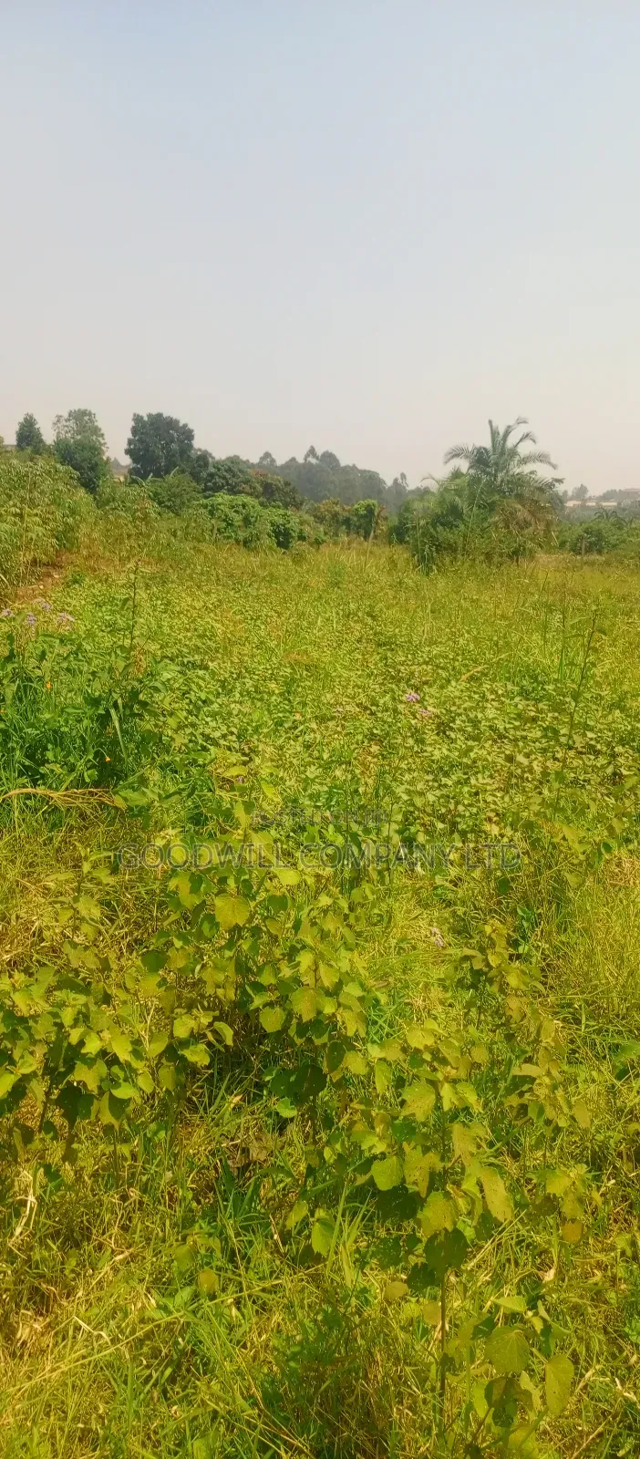 1 Acre of Land in Jinja Misindye After Namugongo