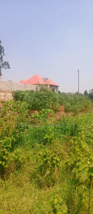 1 Acre of Land in Jinja Misindye After Namugongo