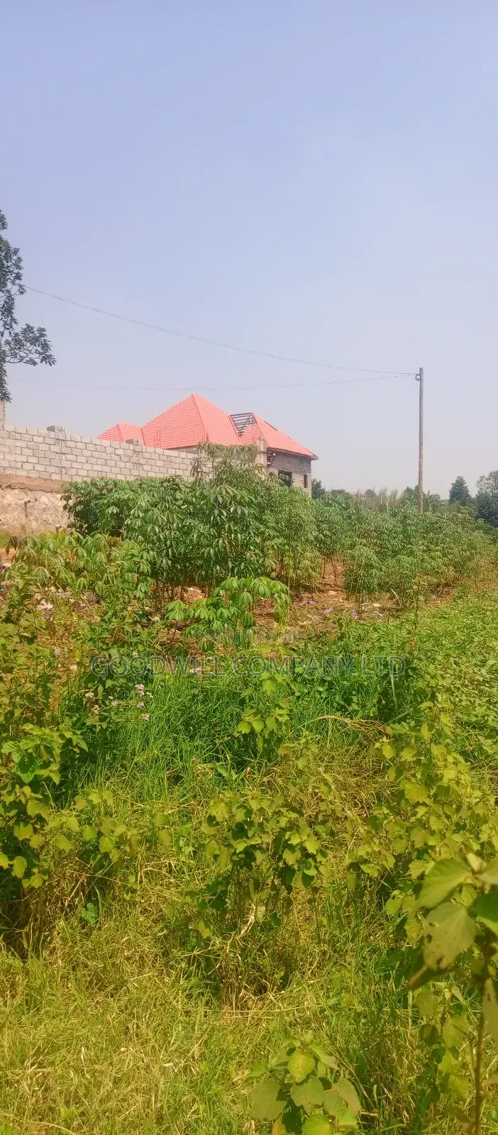 1 Acre of Land in Jinja Misindye After Namugongo