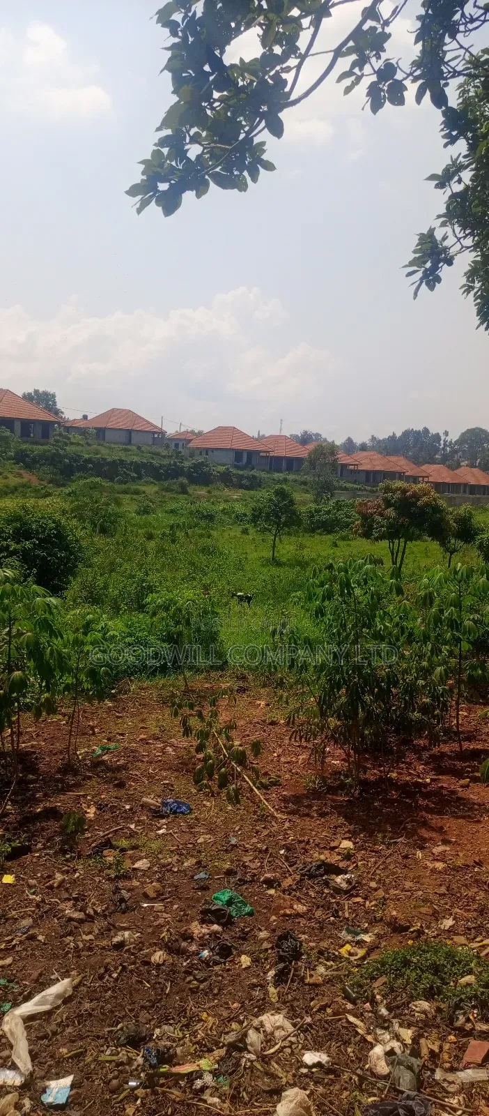 1 Acre of Land in Jinja Misindye After Namugongo