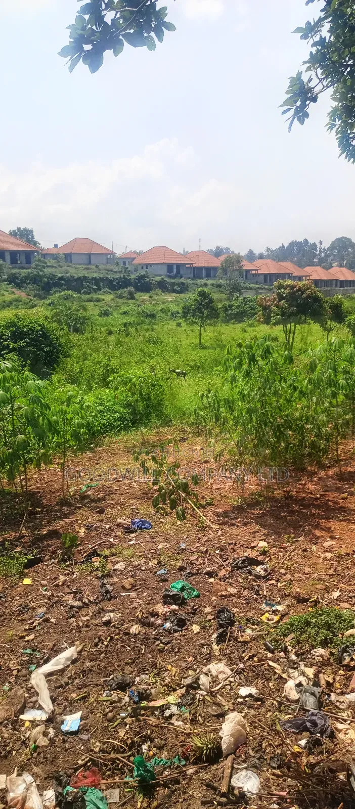 1 Acre of Land in Jinja Misindye After Namugongo