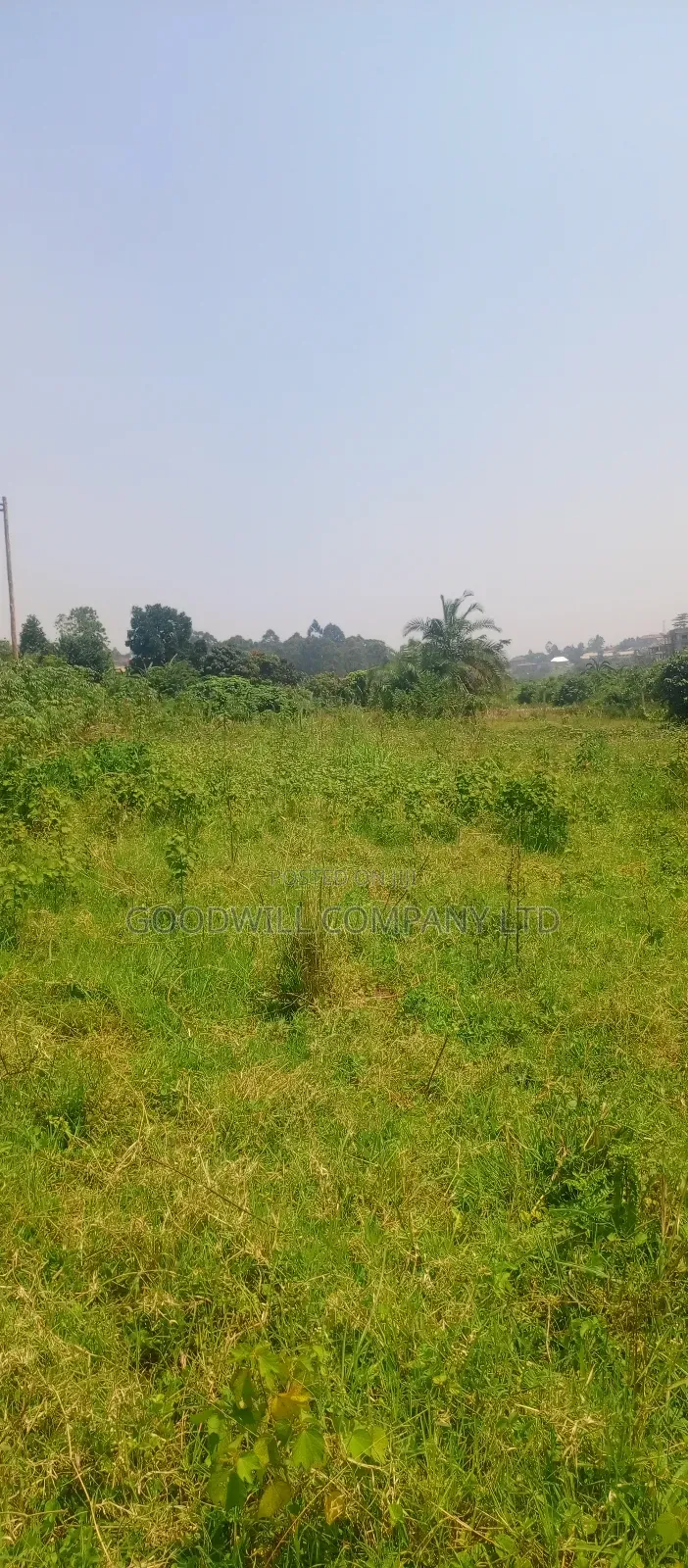 1 Acre of Land in Jinja Misindye After Namugongo