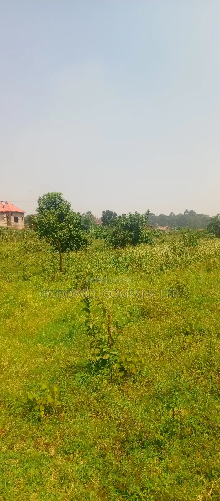 1 Acre of Land in Jinja Misindye After Namugongo