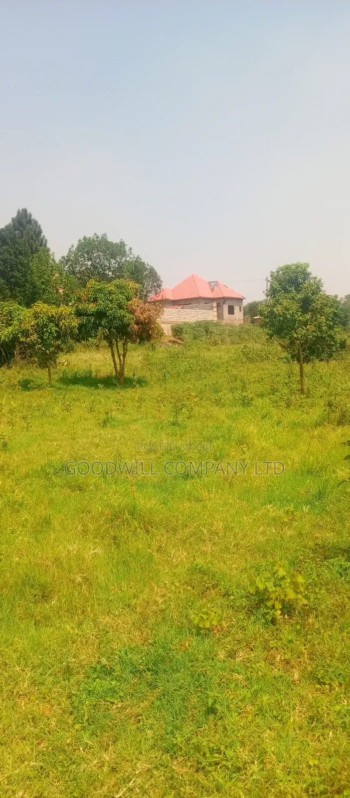 1 Acre of Land in Jinja Misindye After Namugongo