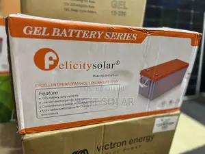 100ah/12v Felicity Gel Battery