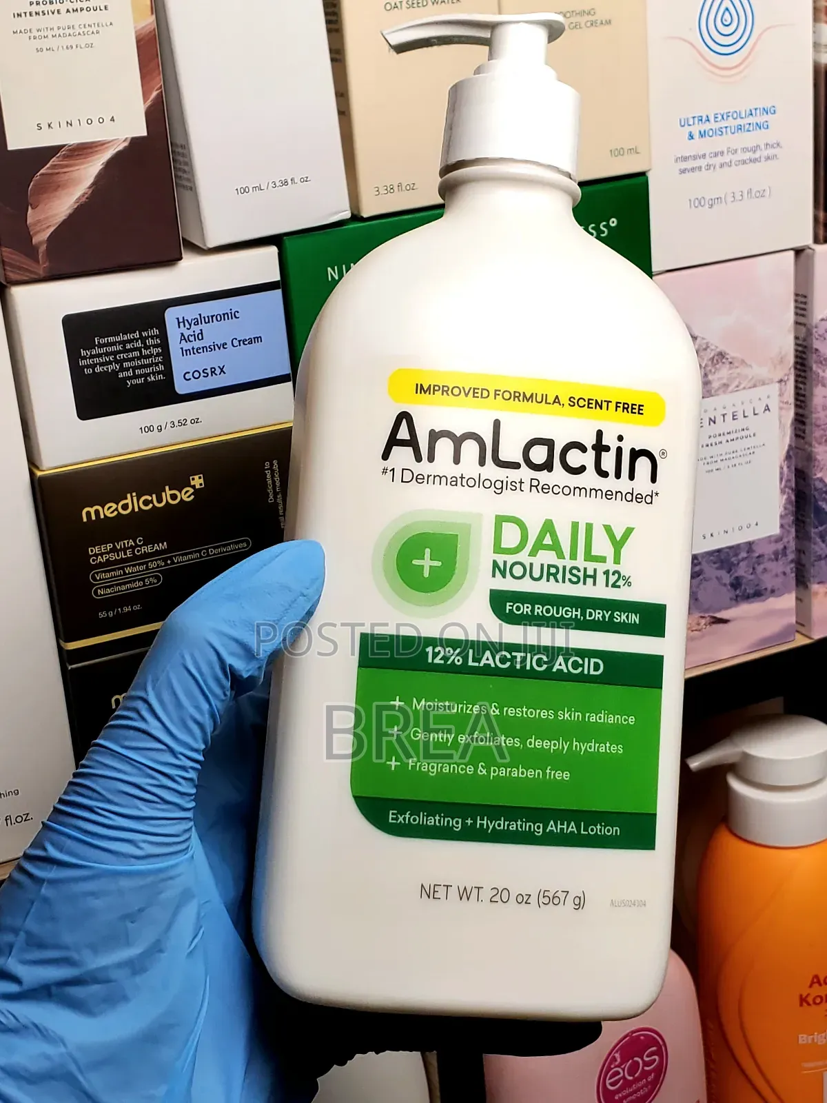 Amlactin Body Lotion