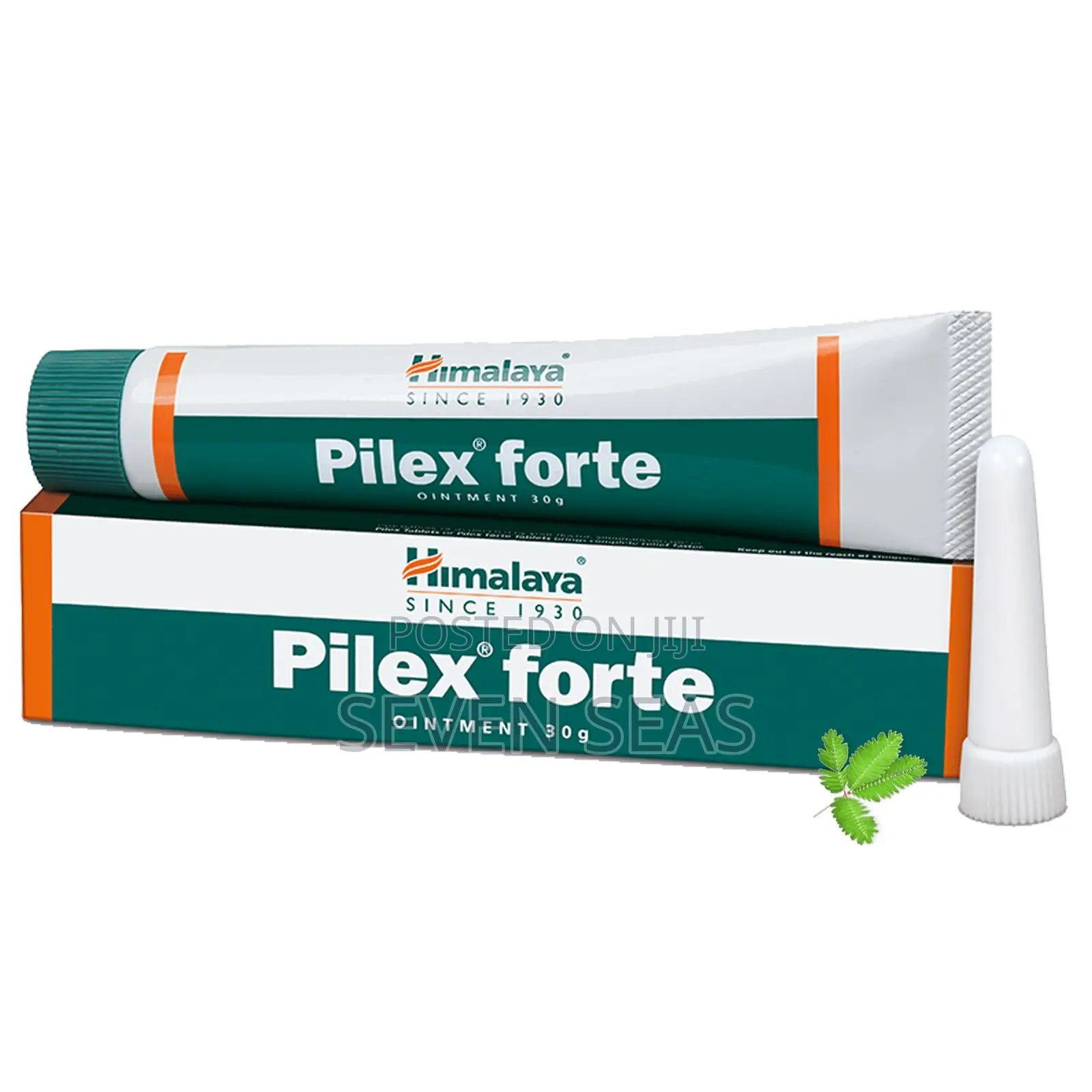 Pilex Forte Ointment