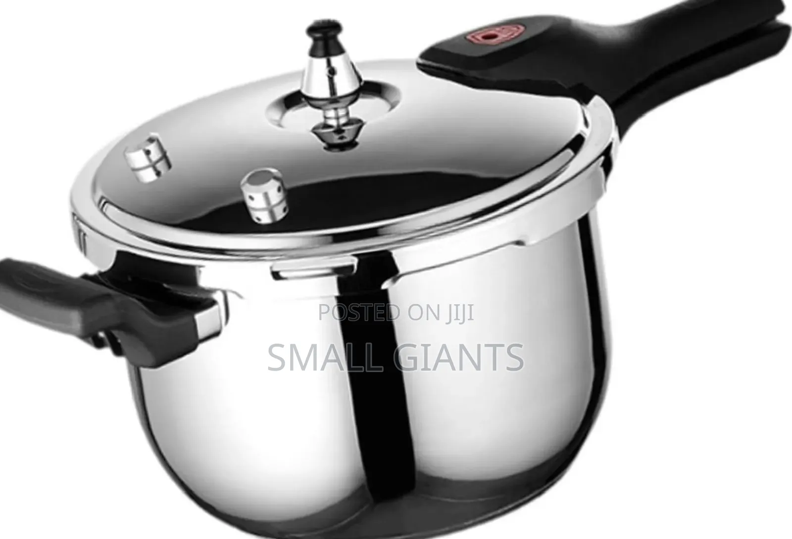 26cm Stainless Steel Pressure Cooker