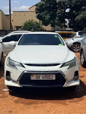 Toyota Mark X 2010 White
