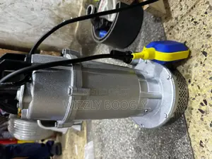 Original Submersible Water Pump Laston32