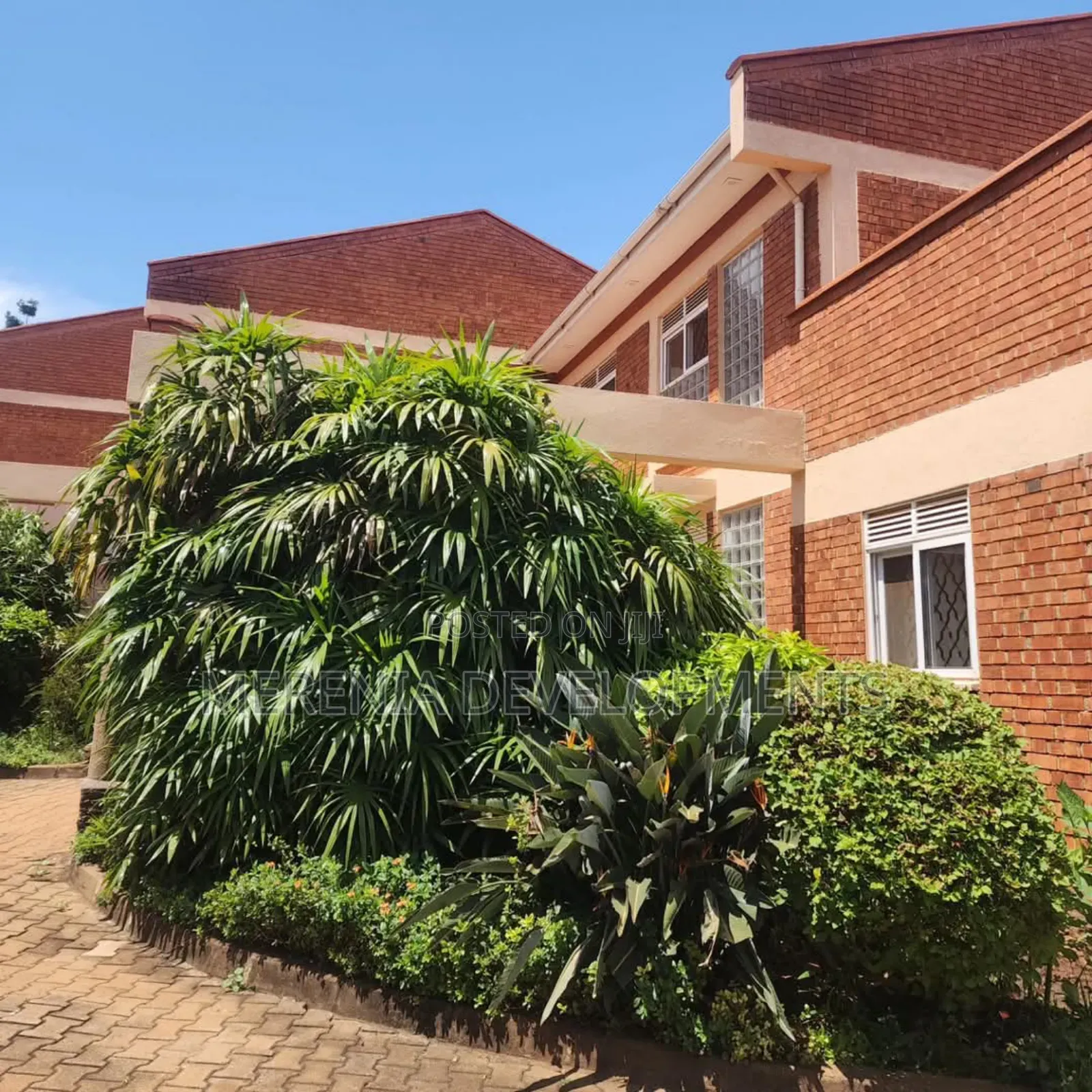 3bdrm House in Muyenga, Makindye for rent
