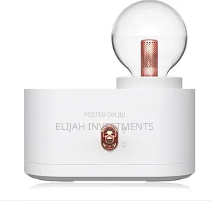 3 In1 Night Light Humidifier With Lamp