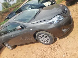 Toyota Corolla Fielder 1.5 Petrol FWD 2010 Gray