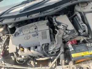 Toyota Corolla Fielder 1.5 Petrol FWD 2010 Gray