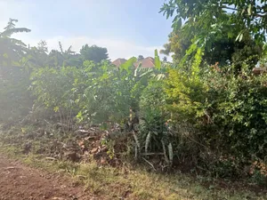 Land at Njeru-Nkokonjeru Cell