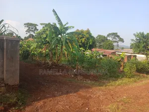 Land at Njeru-Nkokonjeru Cell