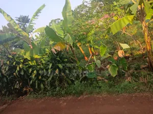 Land at Njeru-Nkokonjeru Cell