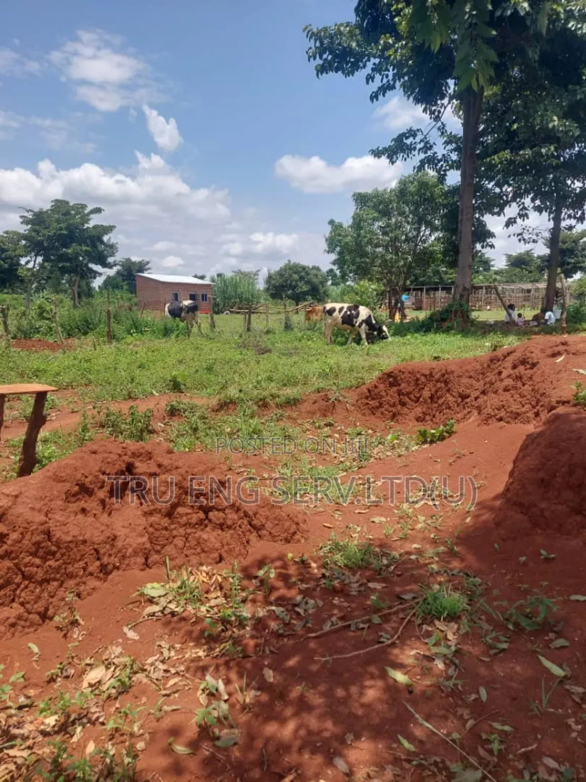 15 Acres for Sale in Buyende