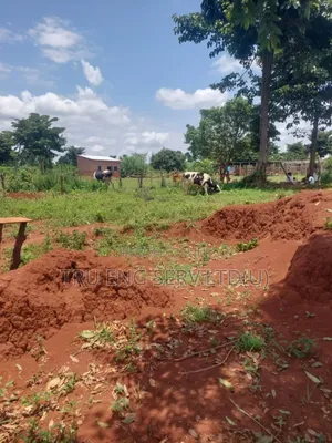 15 Acres for Sale in Buyende