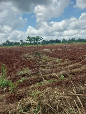 15 Acres for Sale in Buyende