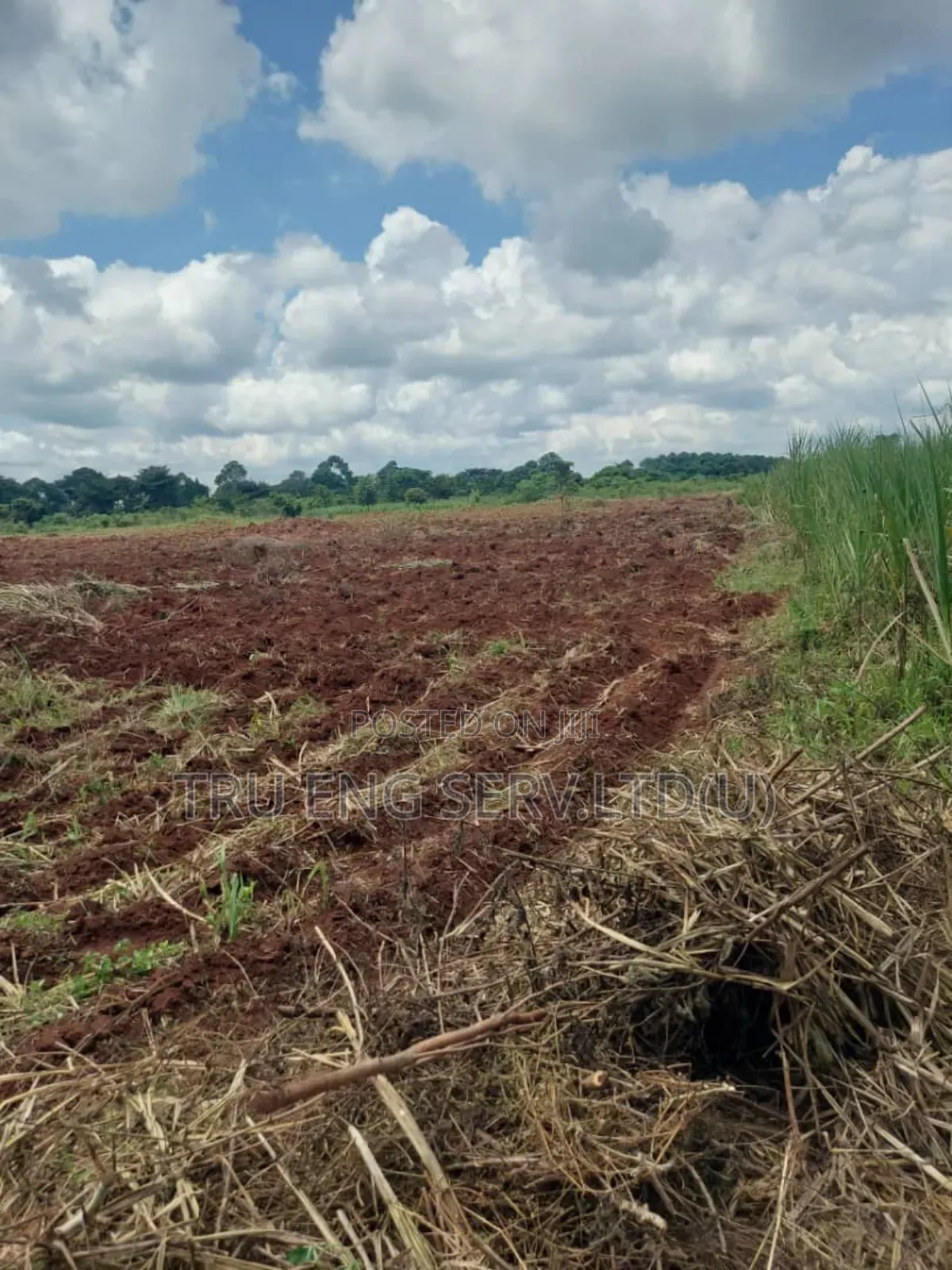 15 Acres for Sale in Buyende