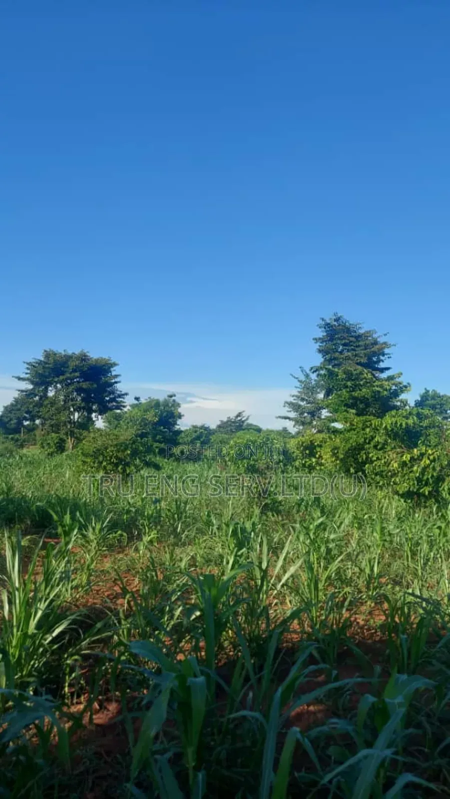 15 Acres for Sale in Buyende