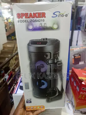 ZQS-4210 Is a Portable Wireless Bluetooth Party Speaker.