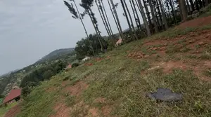 100 Ft by 50 Ft Hillview for Sale in Mabombwe