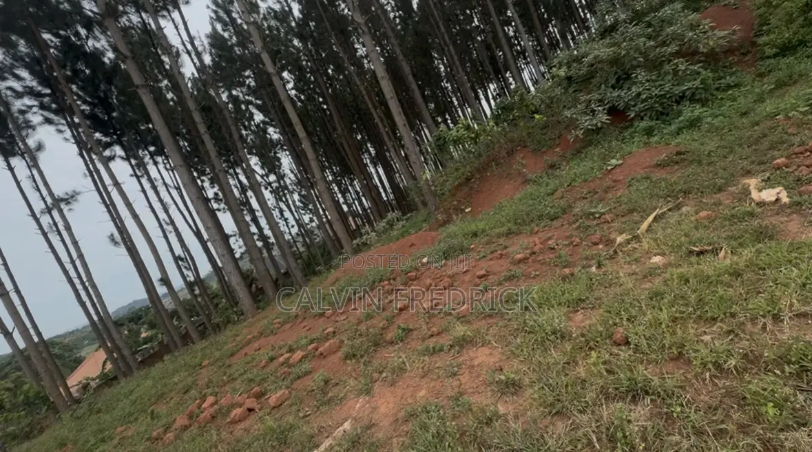 100 Ft by 50 Ft Hillview for Sale in Mabombwe