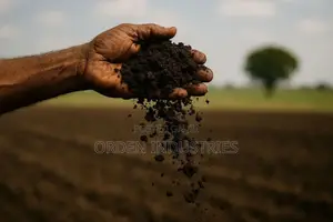 Black Soil ( Fertiliser)- Forward