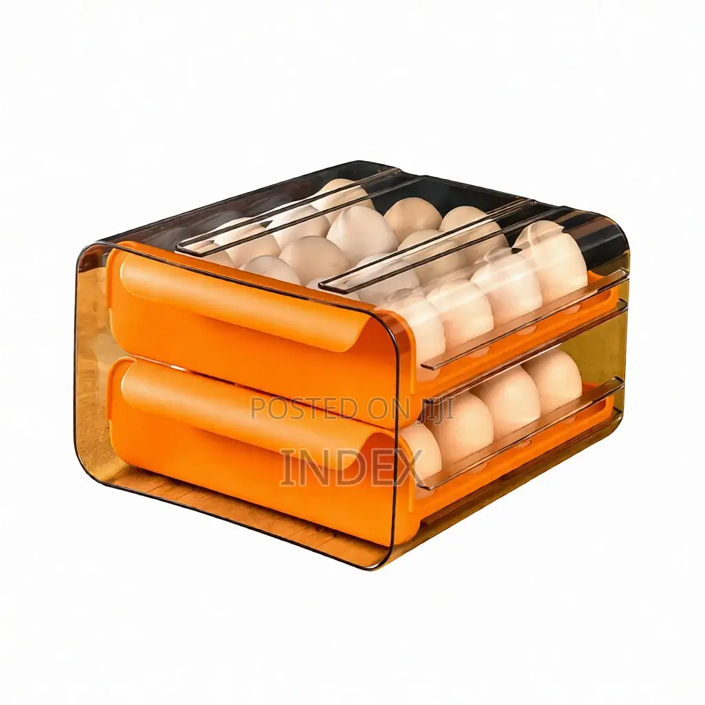 Double Layered Modern Egg Storage