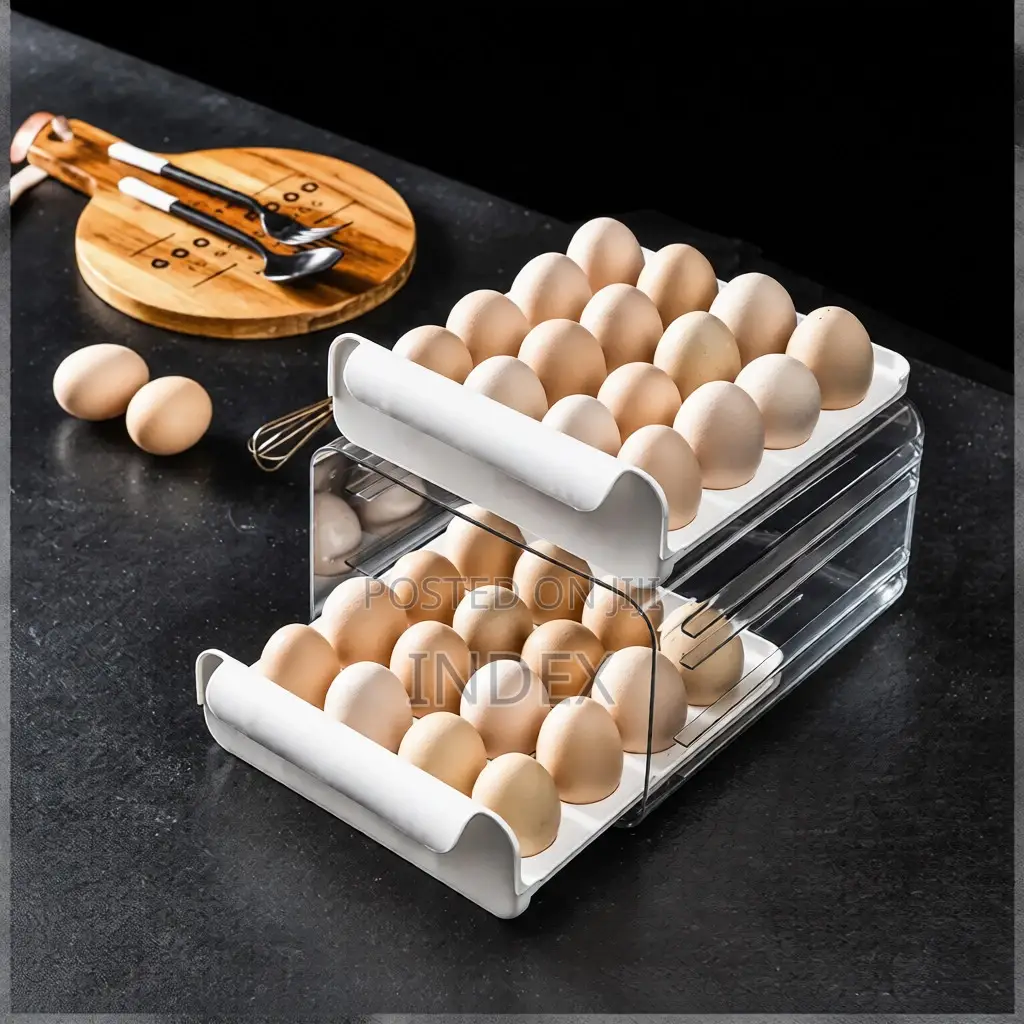 Double Layered Modern Egg Storage