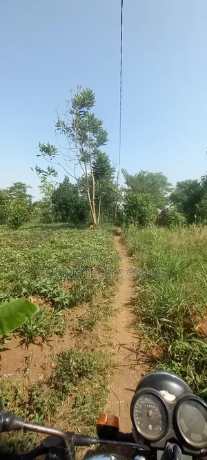 Estate Biz Land for Sale