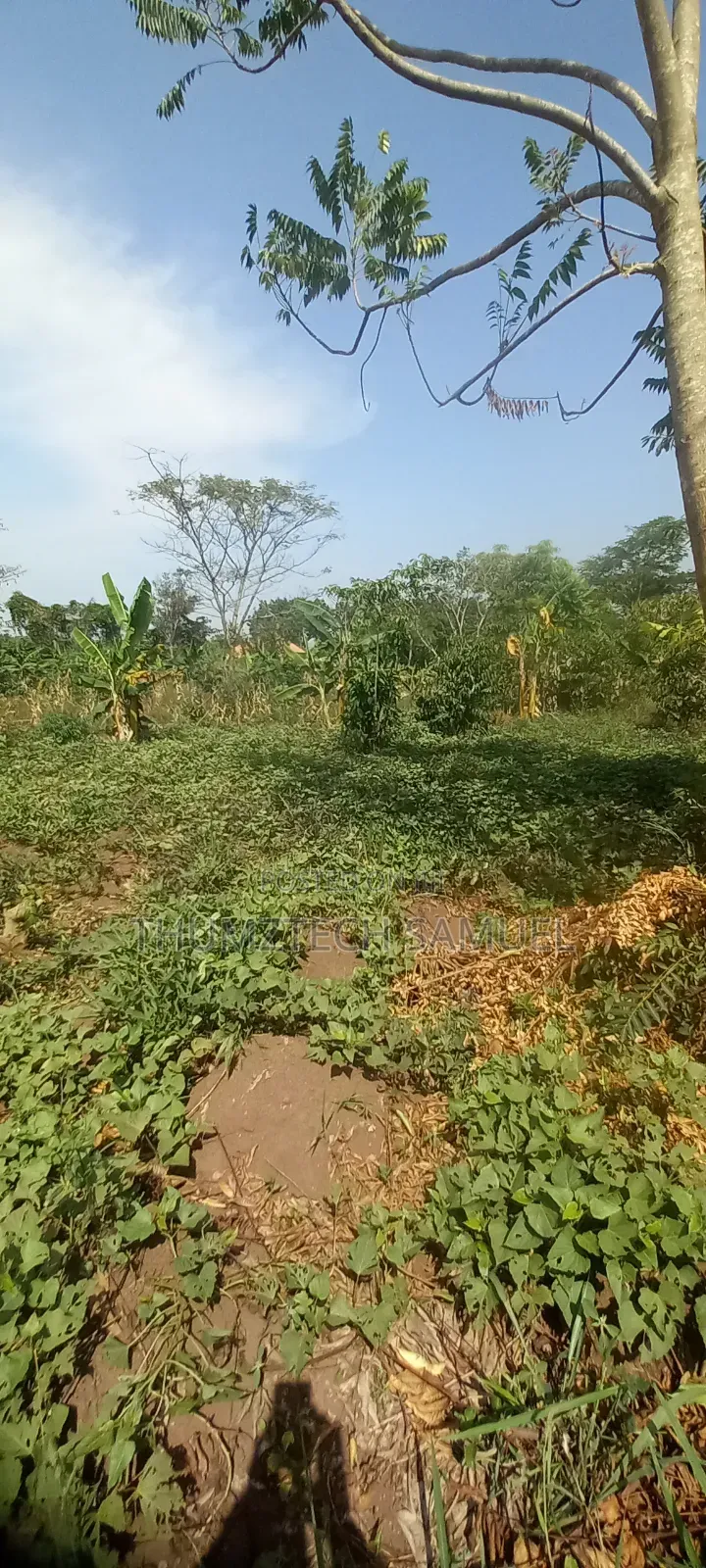Estate Biz Land for Sale