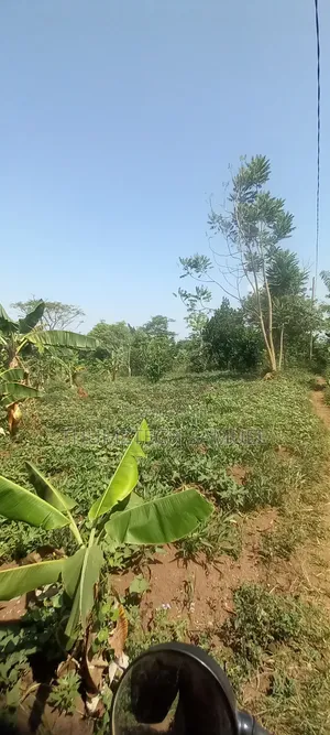 Estate Biz Land for Sale