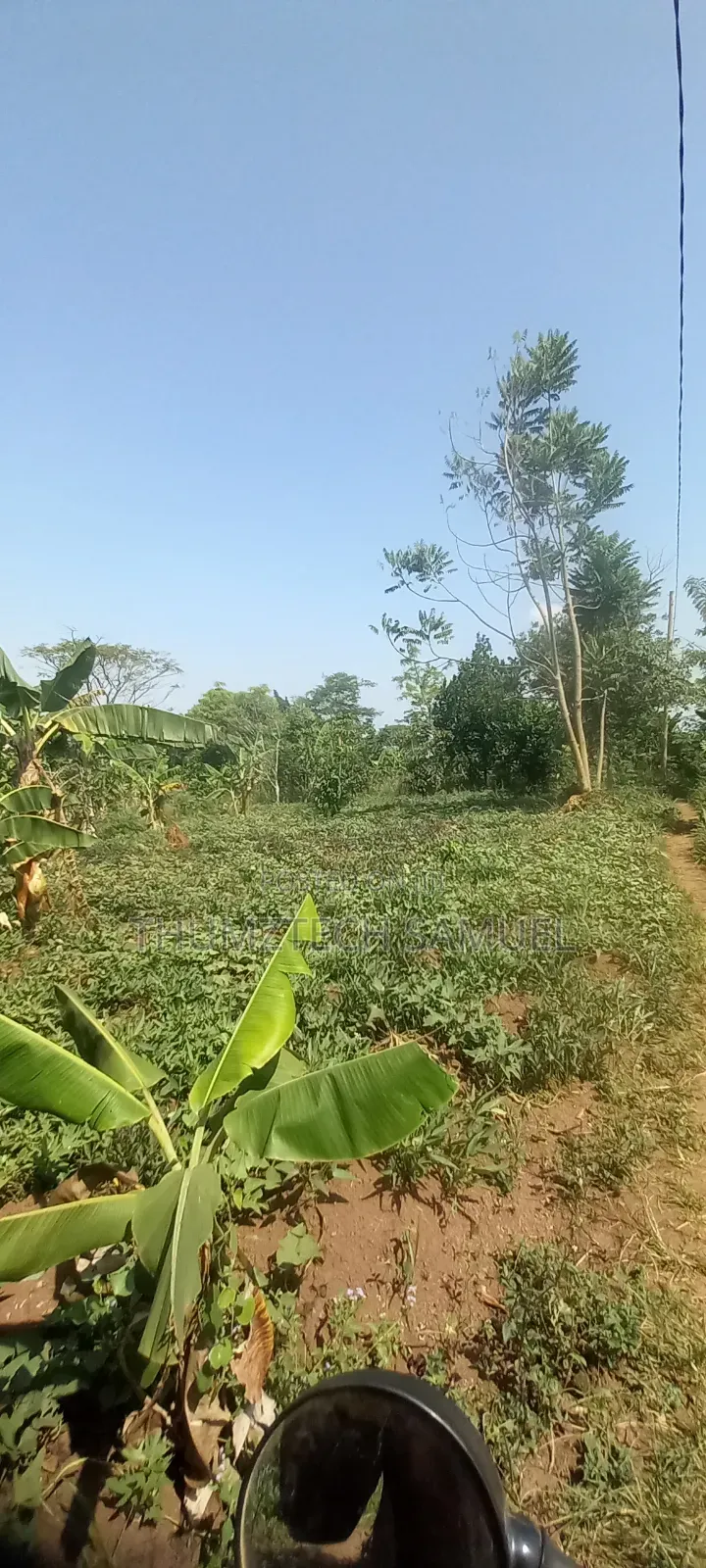 Estate Biz Land for Sale