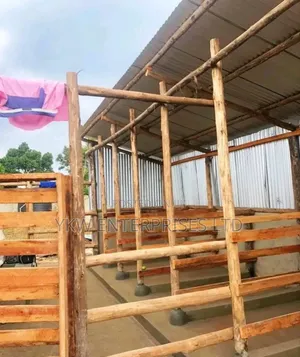 Zero Grazing Cattle Sheds.