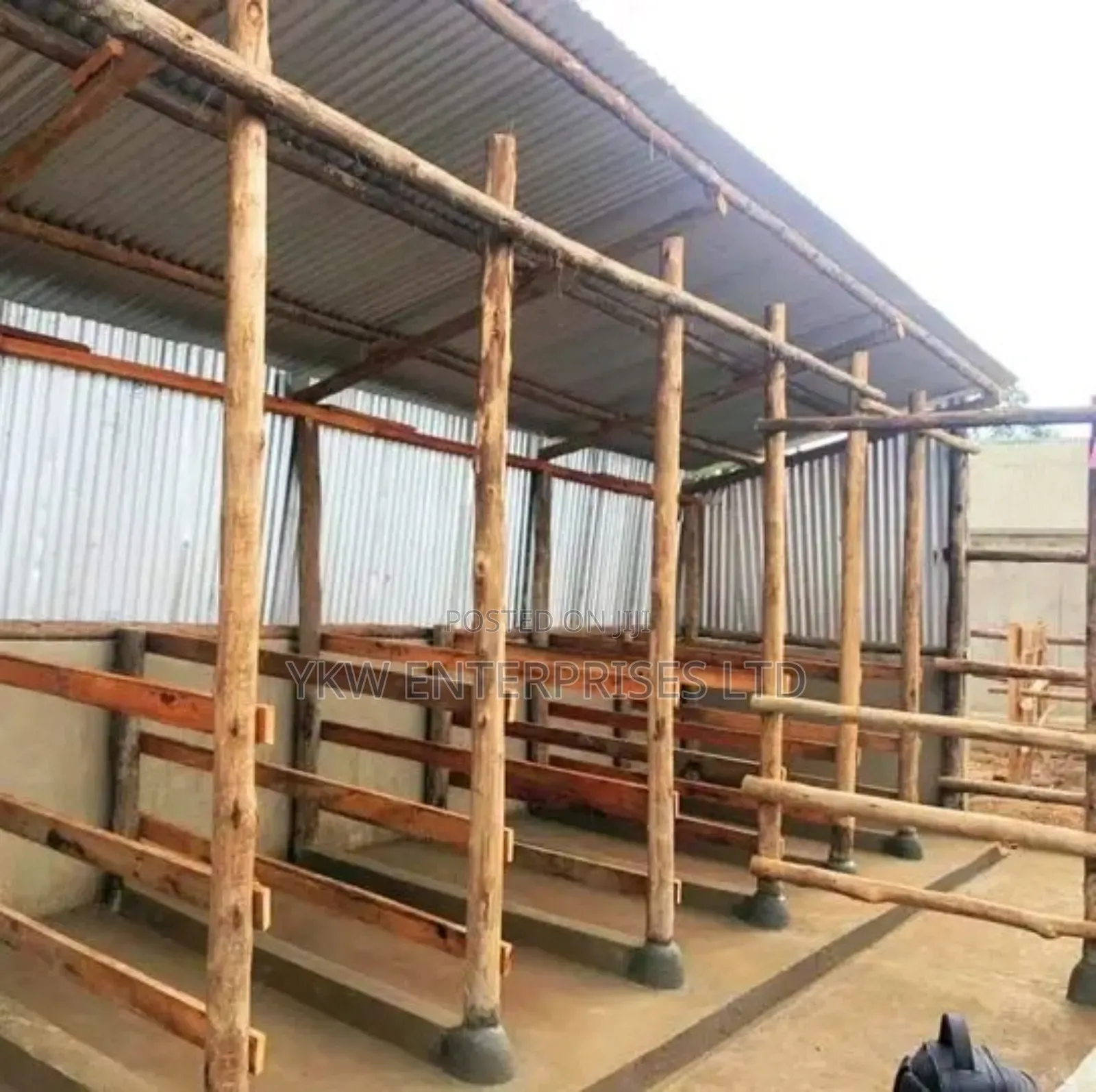Zero Grazing Cattle Sheds.