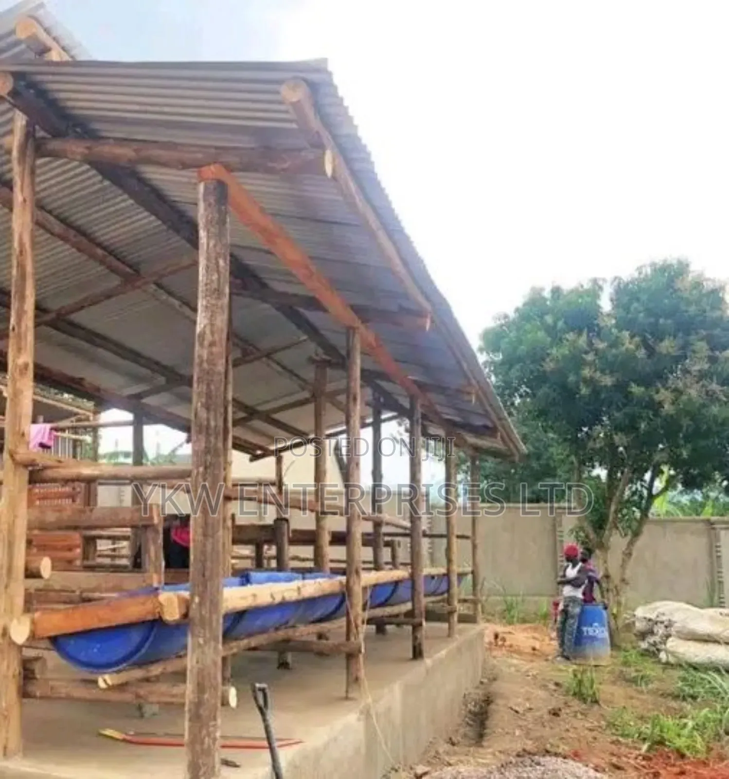 Zero Grazing Cattle Sheds.