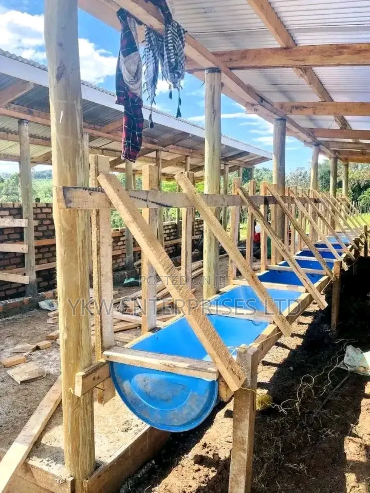 Zero Grazing Cattle Sheds.