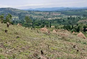 80acres Of Land For Sale At Busunju Hill~Hoima Road [Mityana District]