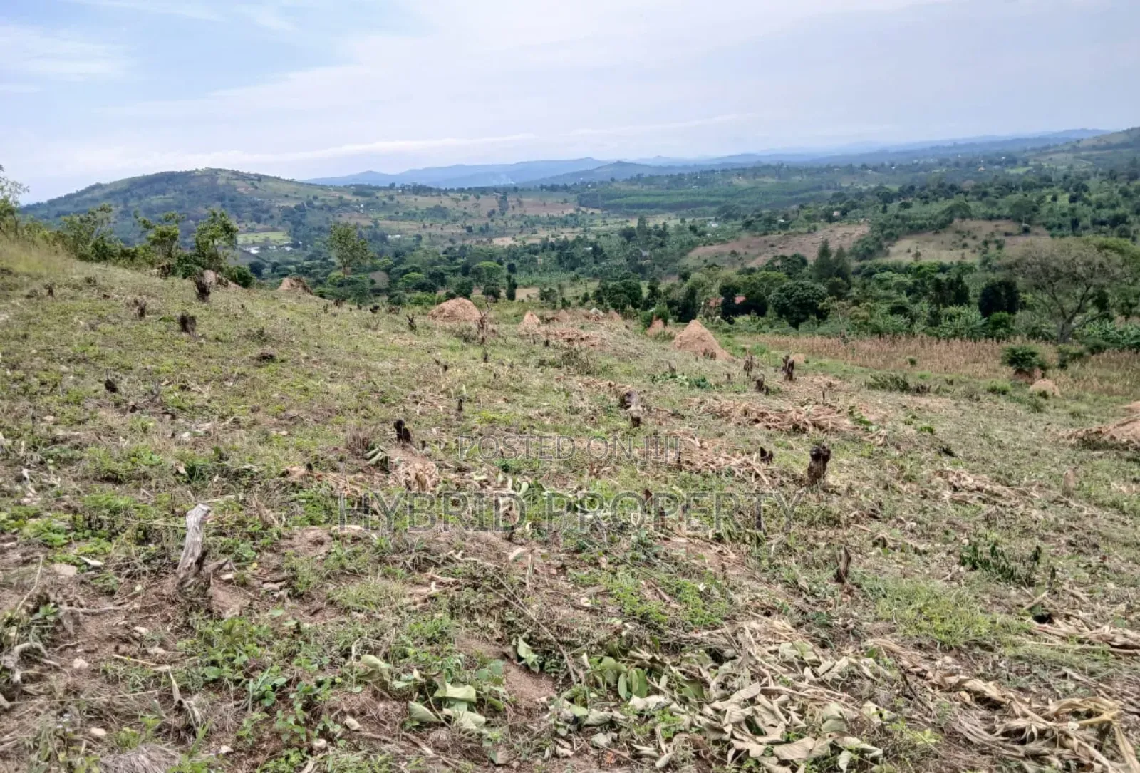 80acres Of Land For Sale At Busunju Hill~Hoima Road [Mityana District]