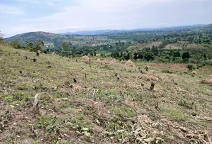 80acres Of Land For Sale At Busunju Hill~Hoima Road [Mityana District]