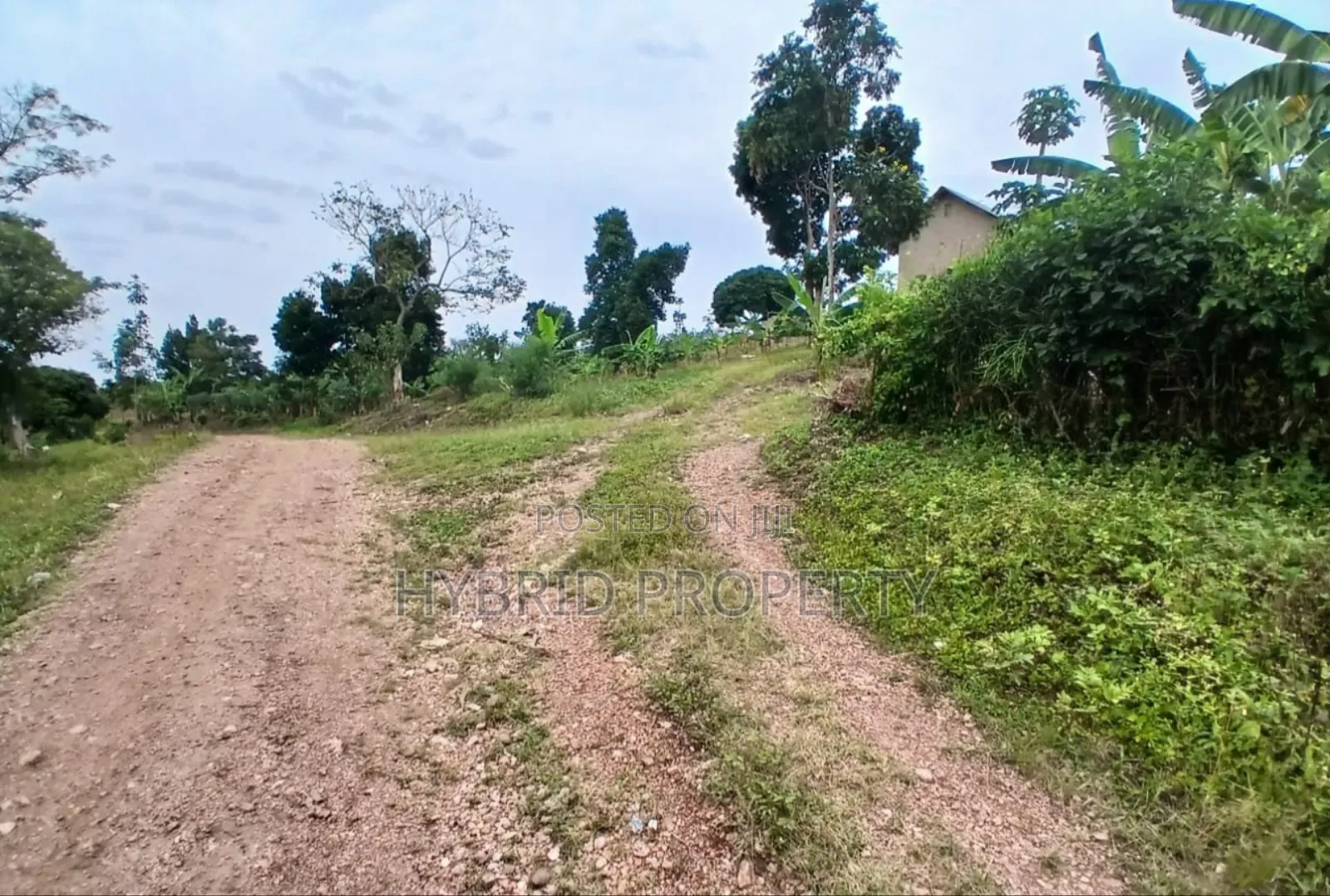 80acres Of Land For Sale At Busunju Hill~Hoima Road [Mityana District]