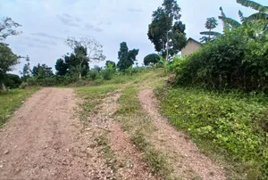 80acres Of Land For Sale At Busunju Hill~Hoima Road [Mityana District]