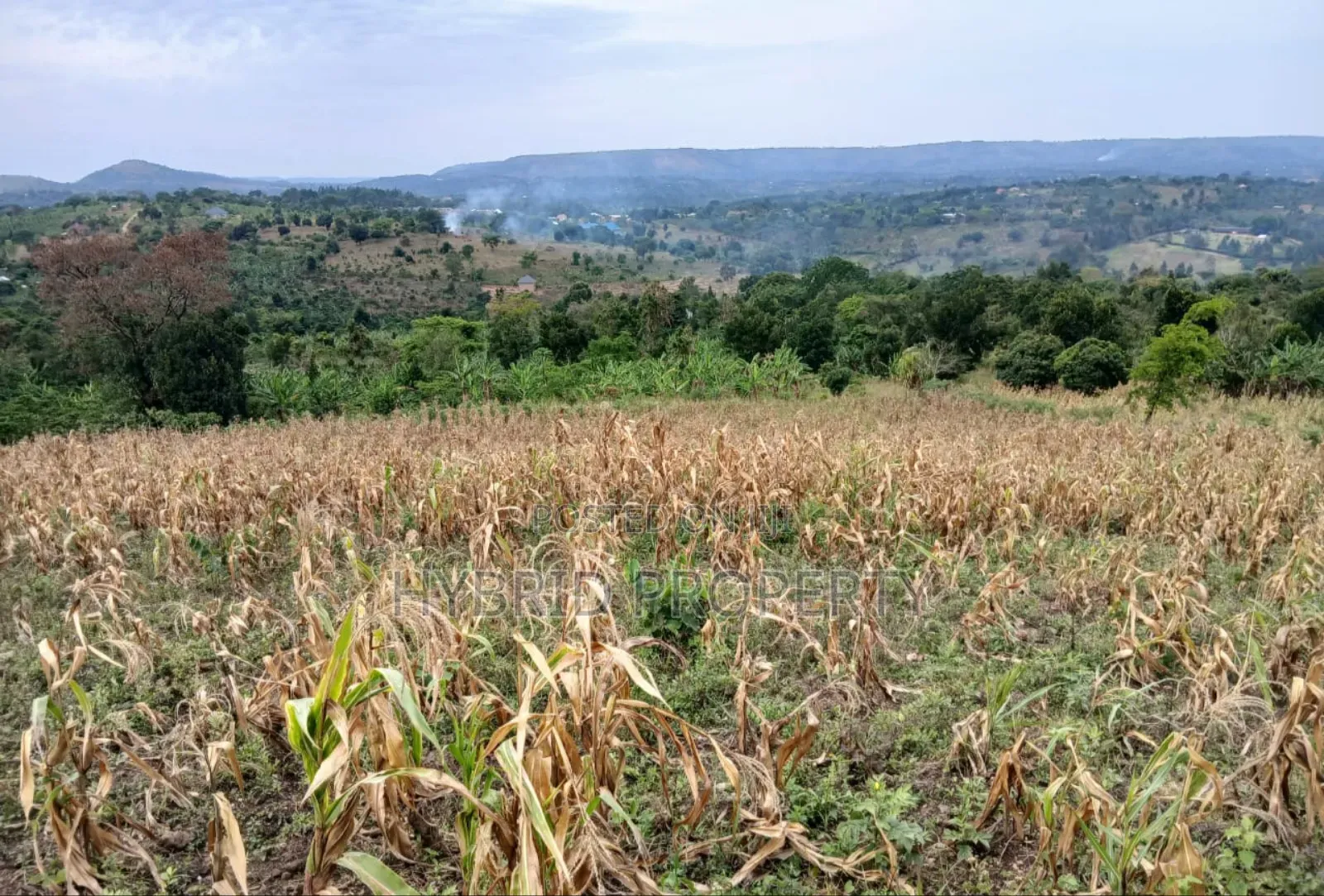 80acres Of Land For Sale At Busunju Hill~Hoima Road [Mityana District]