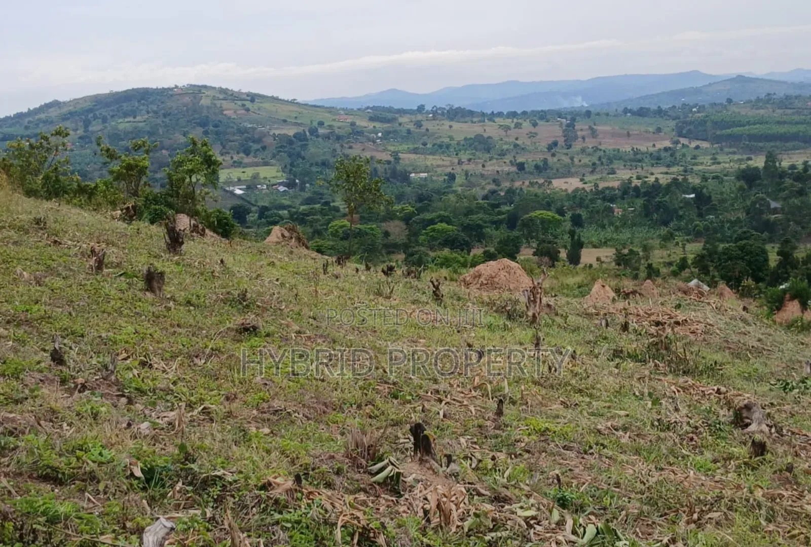 80acres Of Land For Sale At Busunju Hill~Hoima Road [Mityana District]