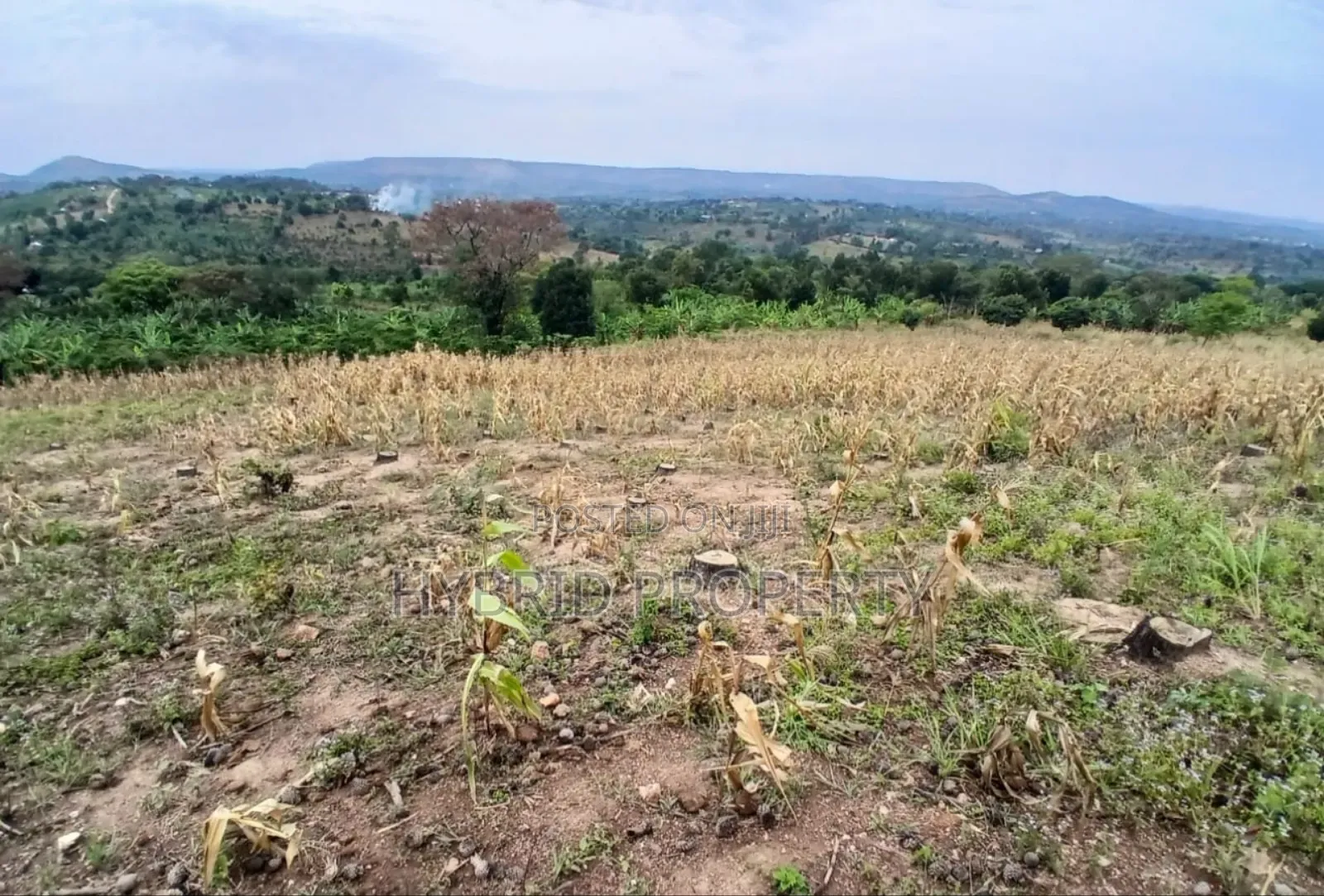 80acres Of Land For Sale At Busunju Hill~Hoima Road [Mityana District]