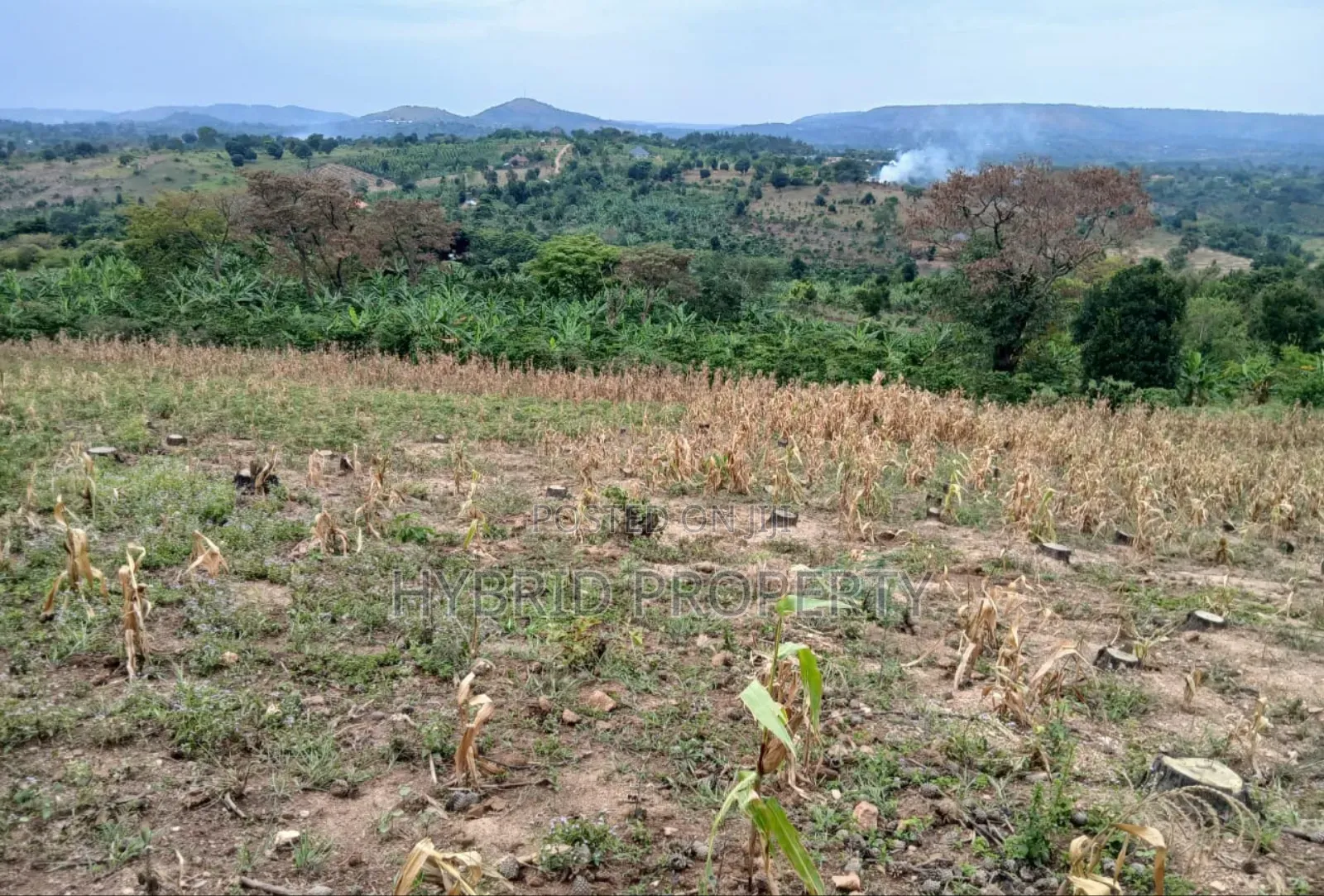 80acres Of Land For Sale At Busunju Hill~Hoima Road [Mityana District]