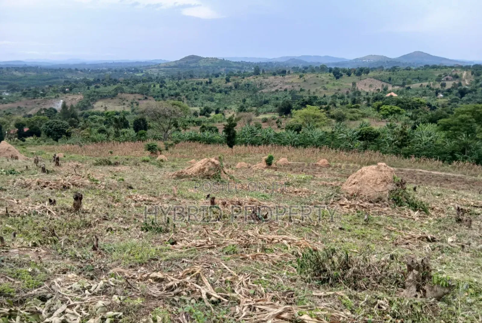 80acres Of Land For Sale At Busunju Hill~Hoima Road [Mityana District]